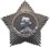 Орден Суворова III степени  — 1945