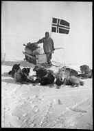 Вистинг со своей упряжкой на полюсе 14 декабря 1911 года