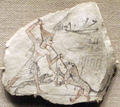 На остраконе периода Рамессидов, фараон изображён в красной короне.