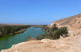 Национальный парк Сус-Масса[en] в Марокко
