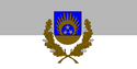 Флаг Озолниекского края