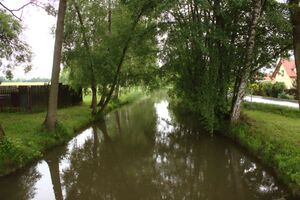Нижнее течение реки в Пнёвице.