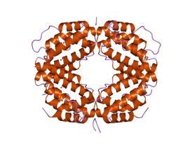 Кристаллическая структура биологически активной одноцепочечной мутации интерферона человека