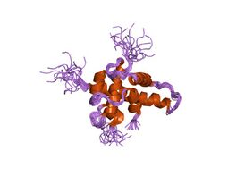 Структура HIF-1α.[9]