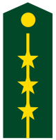 PLA Captain.svg