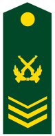 PLA Chief Sergeant Class 3.svg