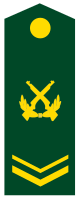 PLA Staff Sergeant.svg