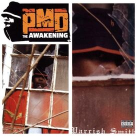 Обложка альбома PMD «The Awakening» (2003)