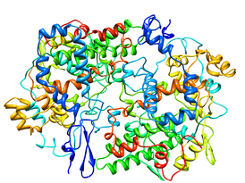 Кристаллографическая структура фермента в комплексе с флурбипрофеном.[1]
