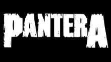 Pantera logo.jpg