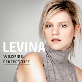 Обложка сингла Левина «Perfect Life» (2017)