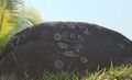 Petroglifo del Huayabamba.jpg
