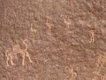 Тамудские петроглифы из Вади-Рама, изображающие охотника, козерога, верблюда и всадника на лошади. Верблюды были среди жертвенных животных в доисламской Аравии[18].
