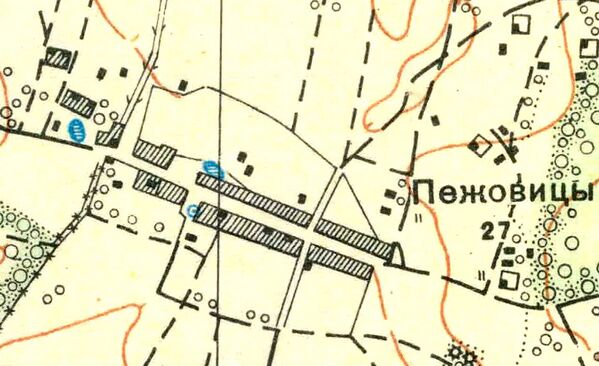 План деревни Пежевицы. 1930 год