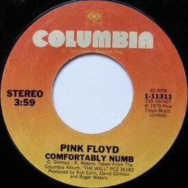 Обложка сингла Pink Floyd «Comfortably Numb» (1979)