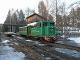 ТУ4-2620 с рабочим поездом на ст. Центральный поселок