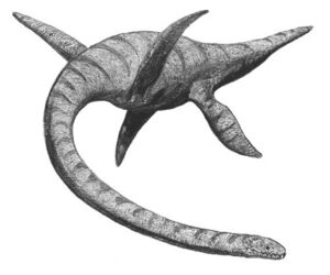 Plesiosaurus2.jpg