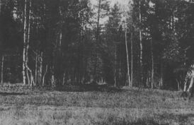 Фото 1919 года, следователь Н.А. Соколов.