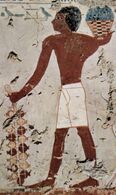 Древнеегипетская фреска с гранатами