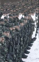 Личный состав 30-й боевой группы Территориальной обороны Словении (17 декабря 1990)