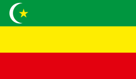 Предполагаемый флаг Алаш-Орды