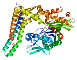 Protein BAG1 PDB 1hx1.png