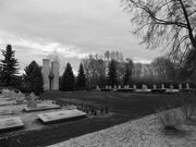 Pruszcz Gdański, cmentarz żołnierzy radzieckich - panoramio.jpg