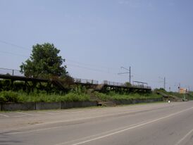 Вид на платформу со стороны Сухумского шоссе (2008)