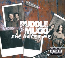 Обложка сингла Puddle of Mudd «She Hates Me» (2002)