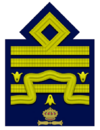 RA-Generale designato di armata aerea.png