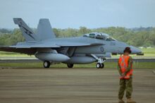 F/A-18F Super Hornet