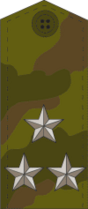 Погон полевой формы полковника, образца 1990-х
