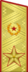 Парадный погон генерала армии (1974-1991)