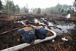 RIAN archive 739650 Flooding peat bogs in Shatura District, Moscow Region.jpg