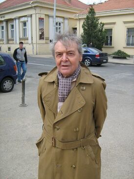 Раде Маркович в 2009 году