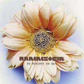 Обложка сингла Rammstein «Du riechst so gut» (1995)