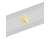 Rank insignia of generale di brigata of the Alpini.svg