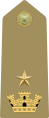 Rank insignia of maggiore of the Army of Italy (1973).svg
