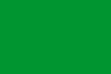Флаг Фатимидского халифата