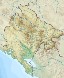 Каньон реки Тары (Черногория)