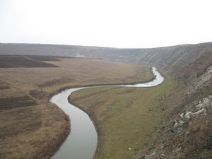 Реут в Оргеевском районе