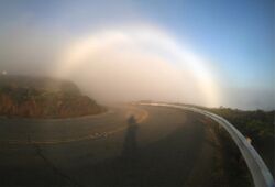 Roadfogbow.jpg