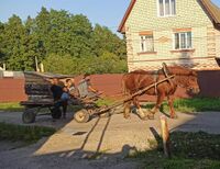 Цыгане из города Кинешма, Ивановская область