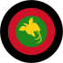 Roundel of Papua New Guinea.svg