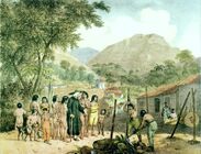 Поселение «тапуйя» (прозвище бразильских индейцев).
