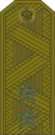 Rus Lieutenant General field.png