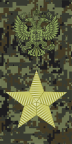 Russia-Army-OF-10.svg