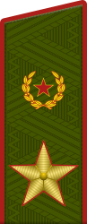 Russia-Army-OF-9-2013.svg