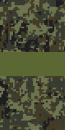 Russia-Army-OR-6.svg