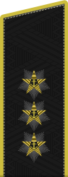 Russia-Navy-OF-8-2010.svg